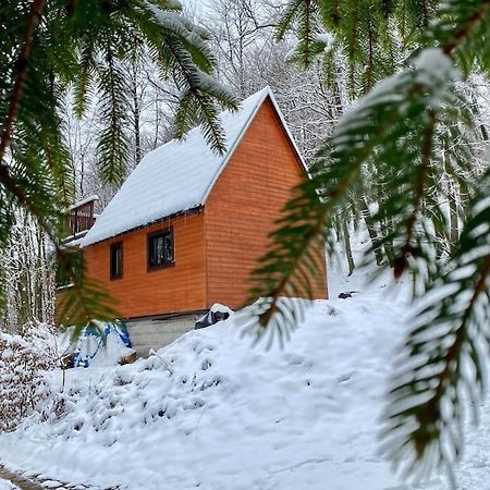 فيلا Chata Pod Pindulou Rožnov pod Radhoštěm المظهر الخارجي الصورة