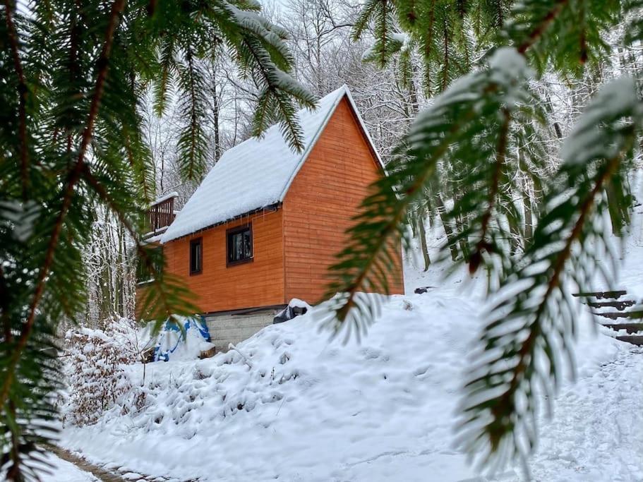 فيلا Chata Pod Pindulou Rožnov pod Radhoštěm المظهر الخارجي الصورة